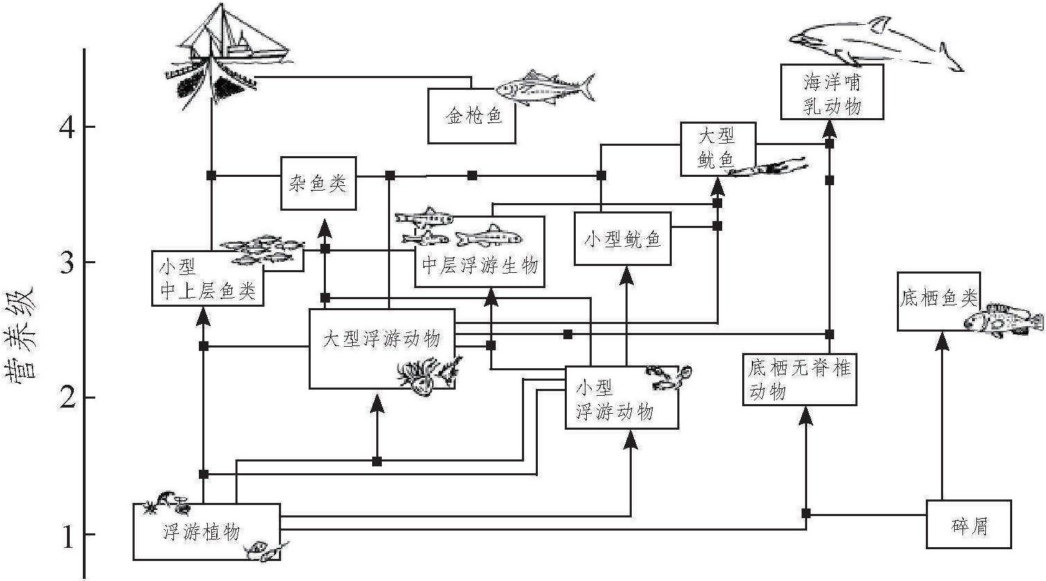 三、生态系统的结构